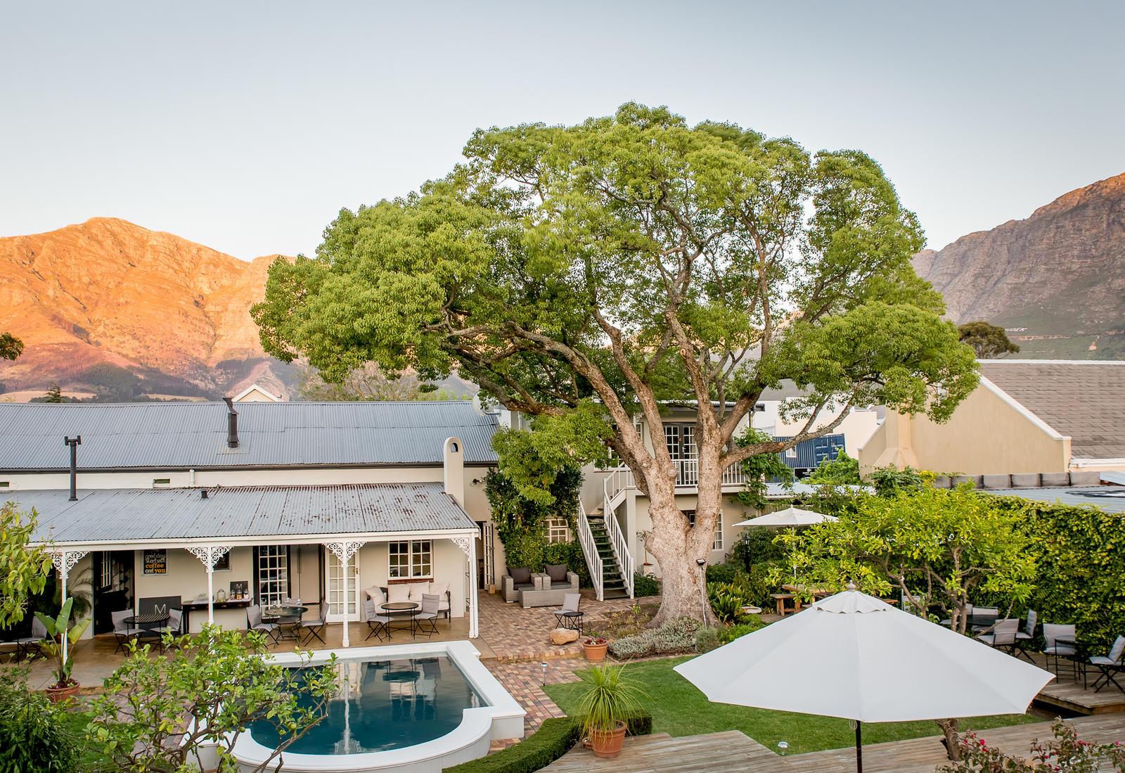 Macaron Boutique Guest House Franschhoek Εξωτερικό φωτογραφία